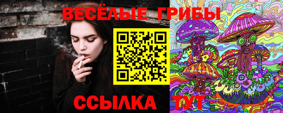 Гусев  Псилоцибиновые грибы Cubensis  где можно купить наркотик  Вход с VPN  Галлюциногенные грибы мицелий 